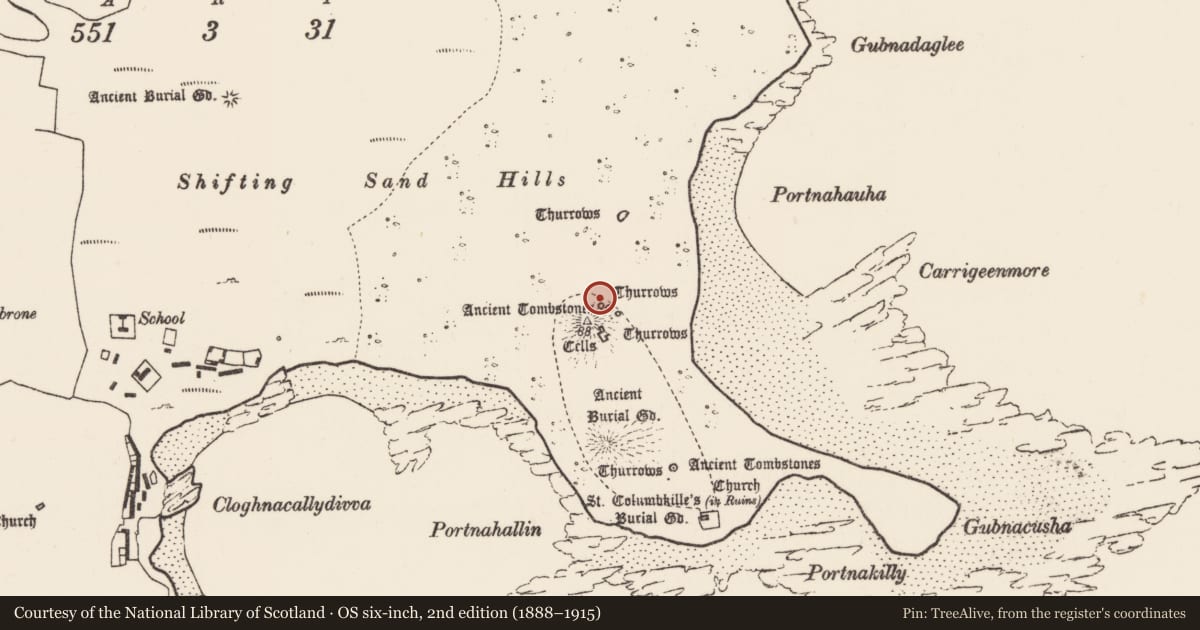 Ordnance Survey six-inch map, 2nd edition (1888–1915) covering the location of Cross-slab, Inis Gé Thuaidh, County Mayo, with a pin at the register's coordinates