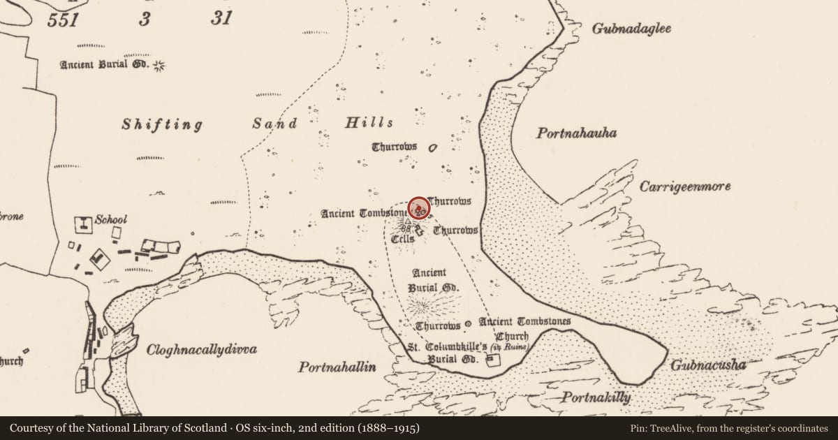 Ordnance Survey six-inch map, 2nd edition (1888–1915) covering the location of Cross-slab, Inis Gé Thuaidh, County Mayo, with a pin at the register's coordinates