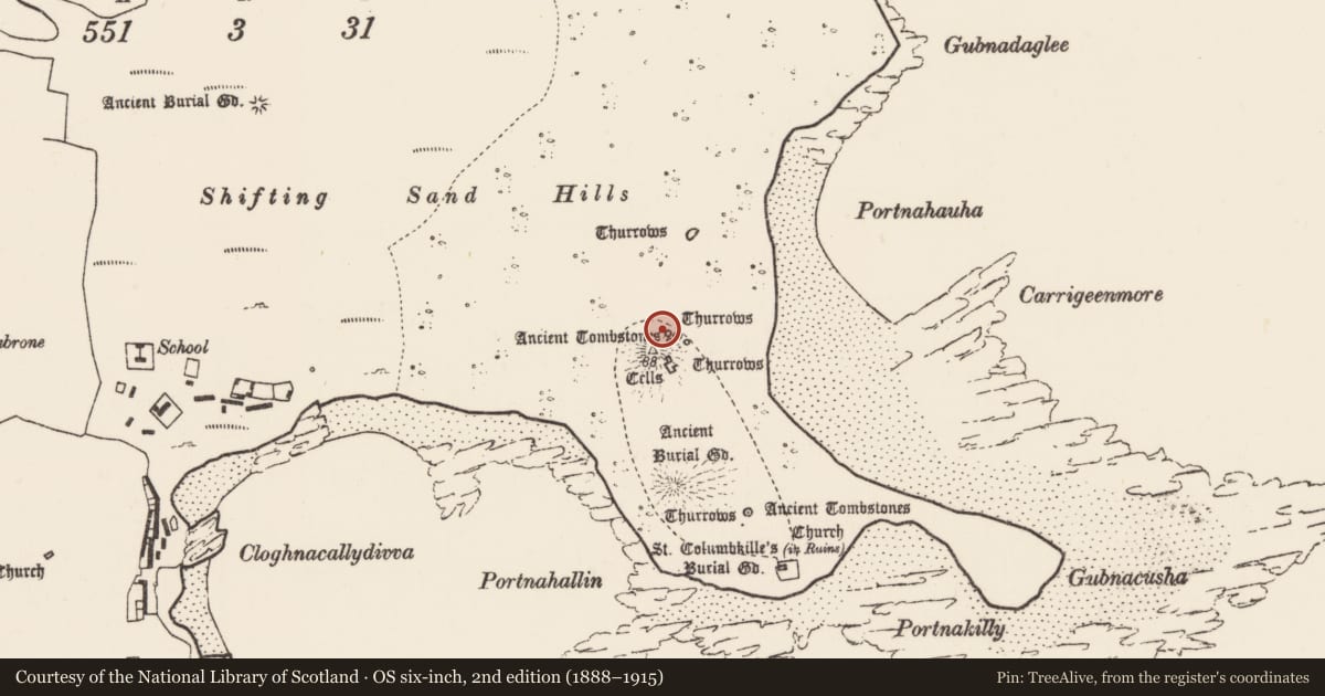 Ordnance Survey six-inch map, 2nd edition (1888–1915) covering the location of Cross-slab, Inis Gé Thuaidh, County Mayo, with a pin at the register's coordinates
