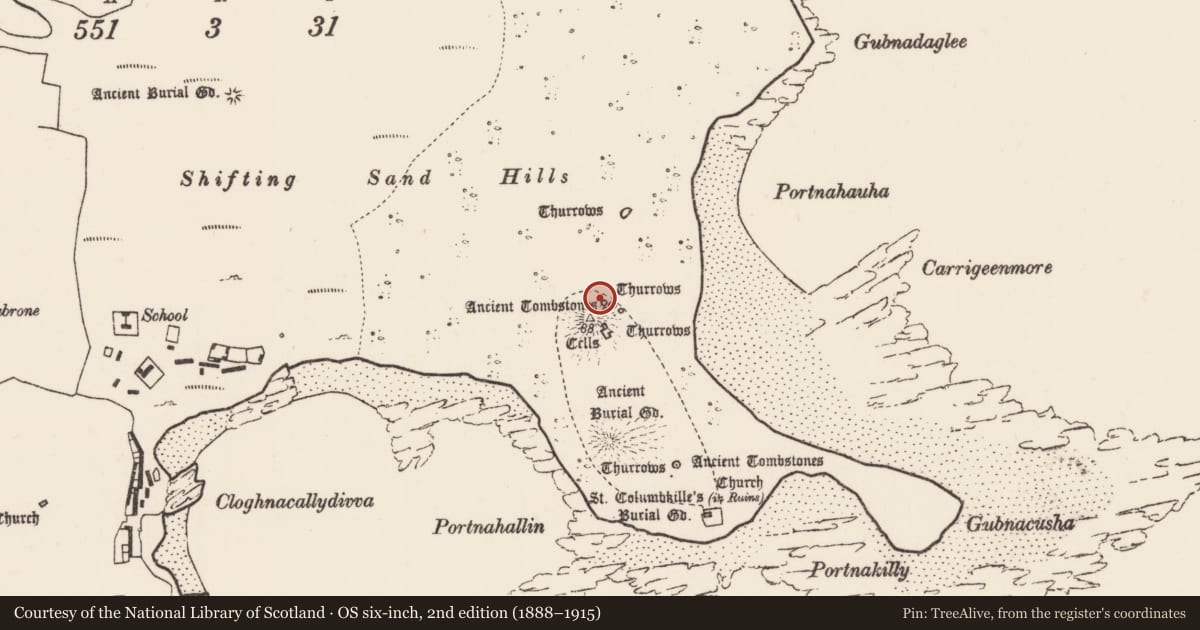 Ordnance Survey six-inch map, 2nd edition (1888–1915) covering the location of Cross-inscribed pillar, Inis Gé Thuaidh, County Mayo, with a pin at the register's coordinates