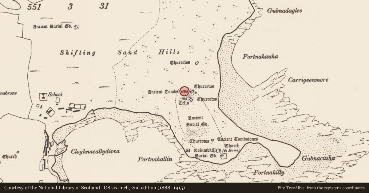Ordnance Survey six-inch map, 2nd edition (1888–1915) covering the location of Cross-slab, Inis Gé Thuaidh, County Mayo, with a pin at the register's coordinates