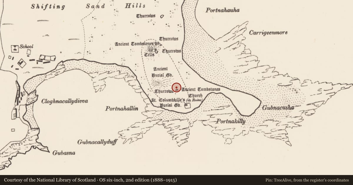 Ordnance Survey six-inch map, 2nd edition (1888–1915) covering the location of Cross-slab, Inis Gé Thuaidh, County Mayo, with a pin at the register's coordinates