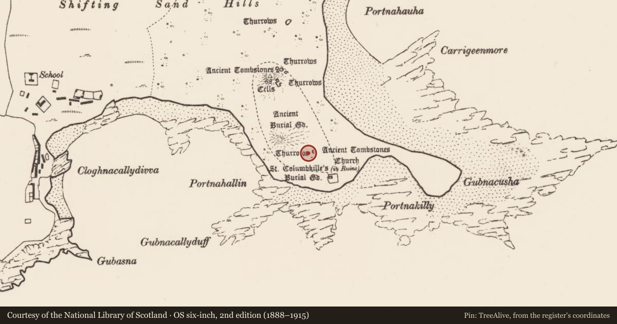 Ordnance Survey six-inch map, 2nd edition (1888–1915) covering the location of Cross-slab, Inis Gé Thuaidh, County Mayo, with a pin at the register's coordinates