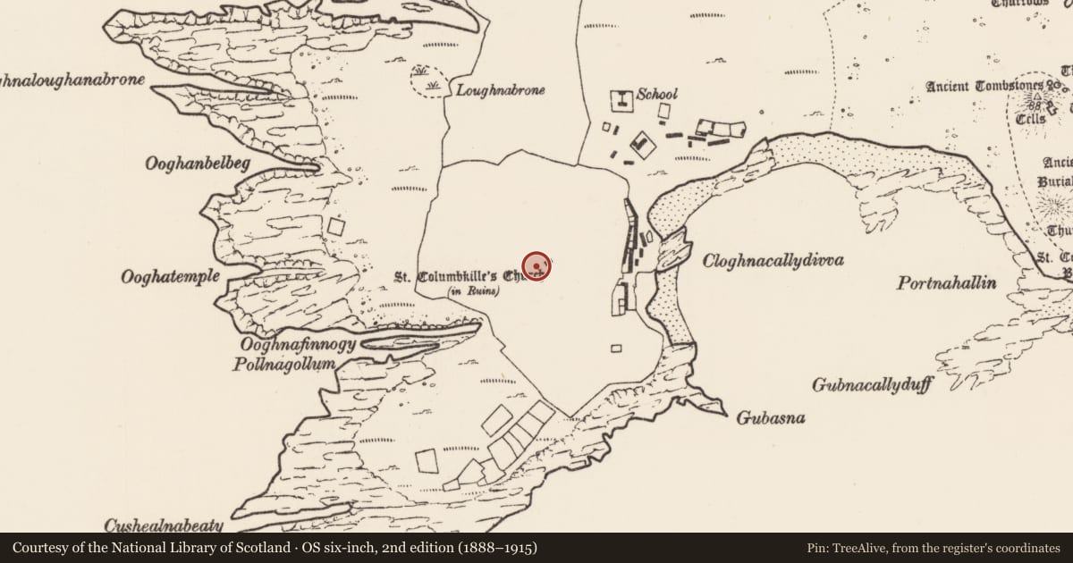 Ordnance Survey six-inch map, 2nd edition (1888–1915) covering the location of Church, Inis Gé Thuaidh, County Mayo, with a pin at the register's coordinates