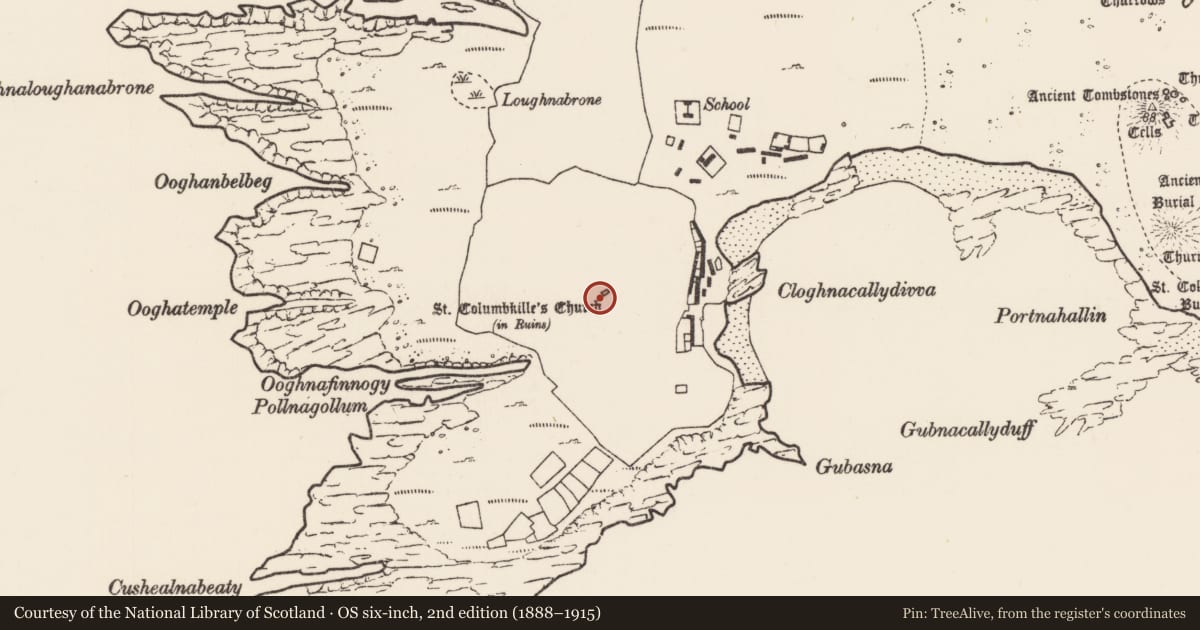 Ordnance Survey six-inch map, 2nd edition (1888–1915) covering the location of Graveyard, Inis Gé Thuaidh, County Mayo, with a pin at the register's coordinates