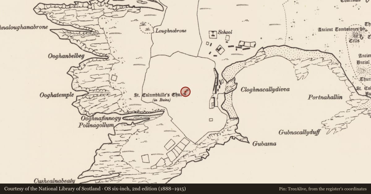 Ordnance Survey six-inch map, 2nd edition (1888–1915) covering the location of Cross-slab, Inis Gé Thuaidh, County Mayo, with a pin at the register's coordinates