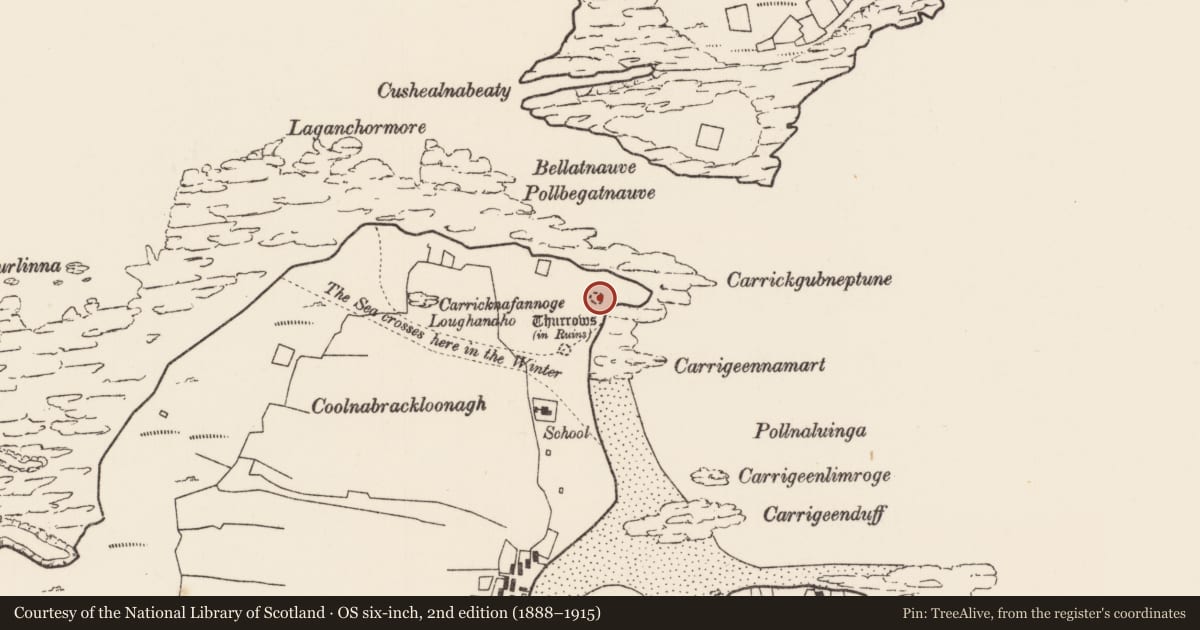 Ordnance Survey six-inch map, 2nd edition (1888–1915) covering the location of House - prehistoric, Inis Gé Theas, County Mayo, with a pin at the register's coordinates