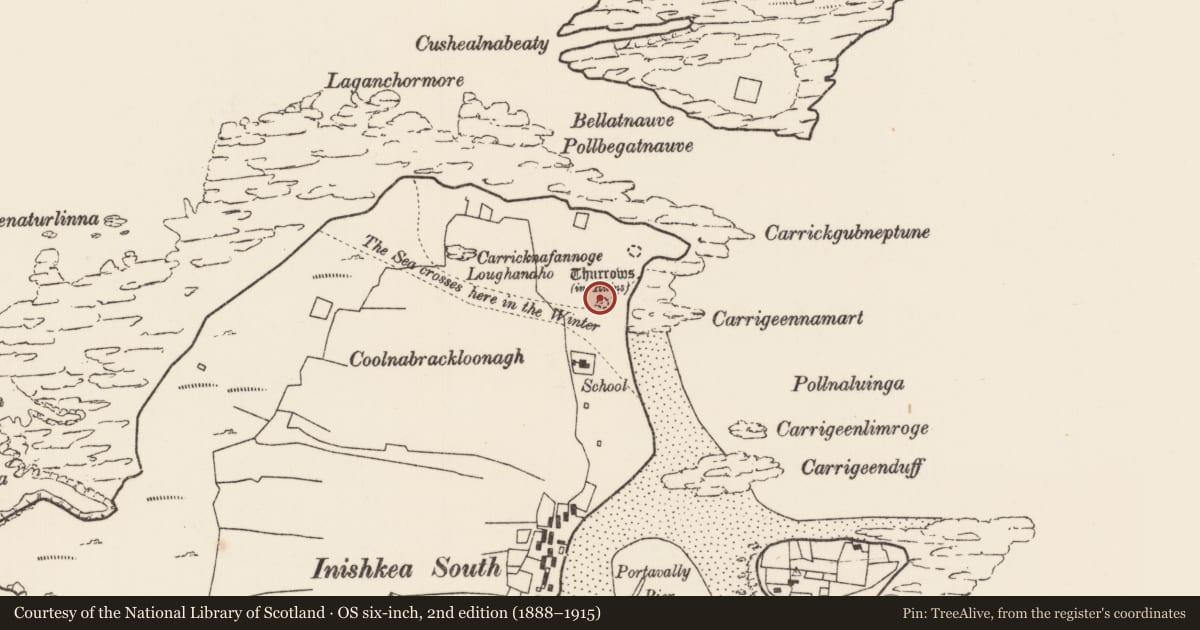 Ordnance Survey six-inch map, 2nd edition (1888–1915) covering the location of House - indeterminate date, Inis Gé Theas, County Mayo, with a pin at the register's coordinates