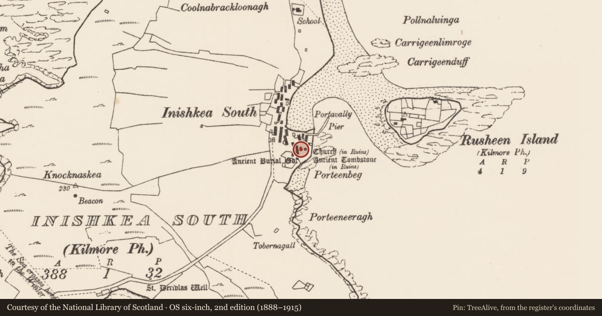 Ordnance Survey six-inch map, 2nd edition (1888–1915) covering the location of Cross-slab, Inis Gé Theas, County Mayo, with a pin at the register's coordinates
