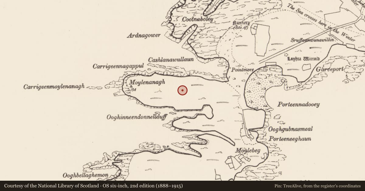 Ordnance Survey six-inch map, 2nd edition (1888–1915) covering the location of Promontory fort - coastal, Inis Gé Theas, County Mayo, with a pin at the register's coordinates