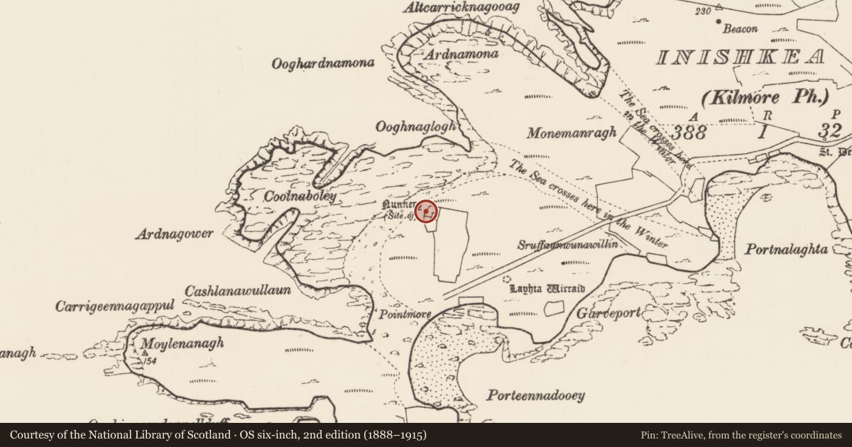 Ordnance Survey six-inch map, 2nd edition (1888–1915) covering the location of Religious house - unclassified, Inis Gé Theas, County Mayo, with a pin at the register's coordinates