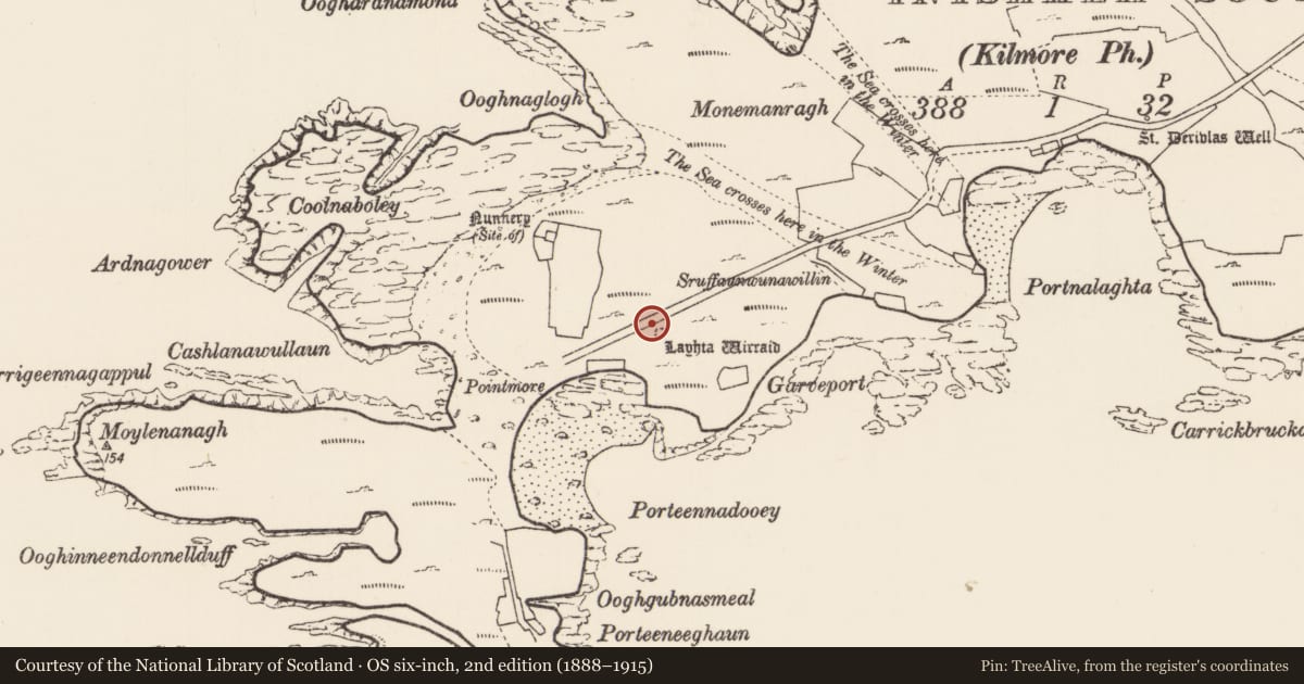 Ordnance Survey six-inch map, 2nd edition (1888–1915) covering the location of Leacht, Inis Gé Theas, County Mayo, with a pin at the register's coordinates