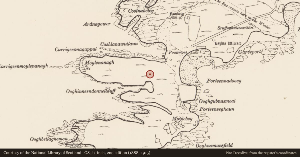 Ordnance Survey six-inch map, 2nd edition (1888–1915) covering the location of House - indeterminate date, Inis Gé Theas, County Mayo, with a pin at the register's coordinates