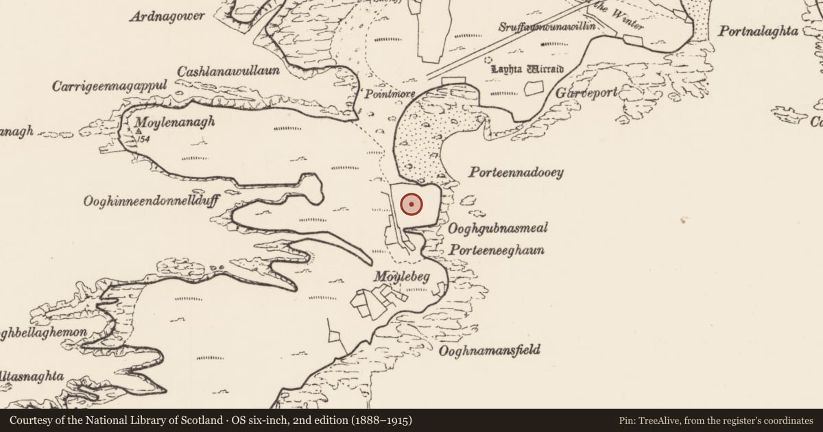 Ordnance Survey six-inch map, 2nd edition (1888–1915) covering the location of Enclosure, Inis Gé Theas, County Mayo, with a pin at the register's coordinates