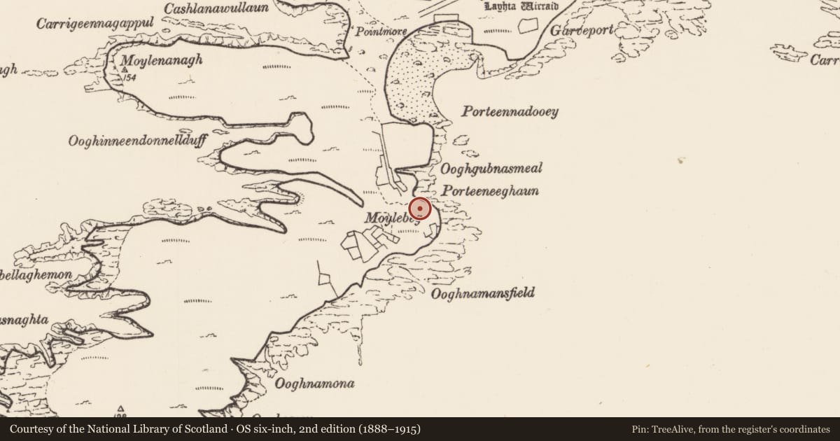 Ordnance Survey six-inch map, 2nd edition (1888–1915) covering the location of Enclosure, Inis Gé Theas, County Mayo, with a pin at the register's coordinates