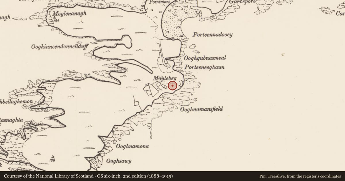 Ordnance Survey six-inch map, 2nd edition (1888–1915) covering the location of Field boundary, Inis Gé Theas, County Mayo, with a pin at the register's coordinates