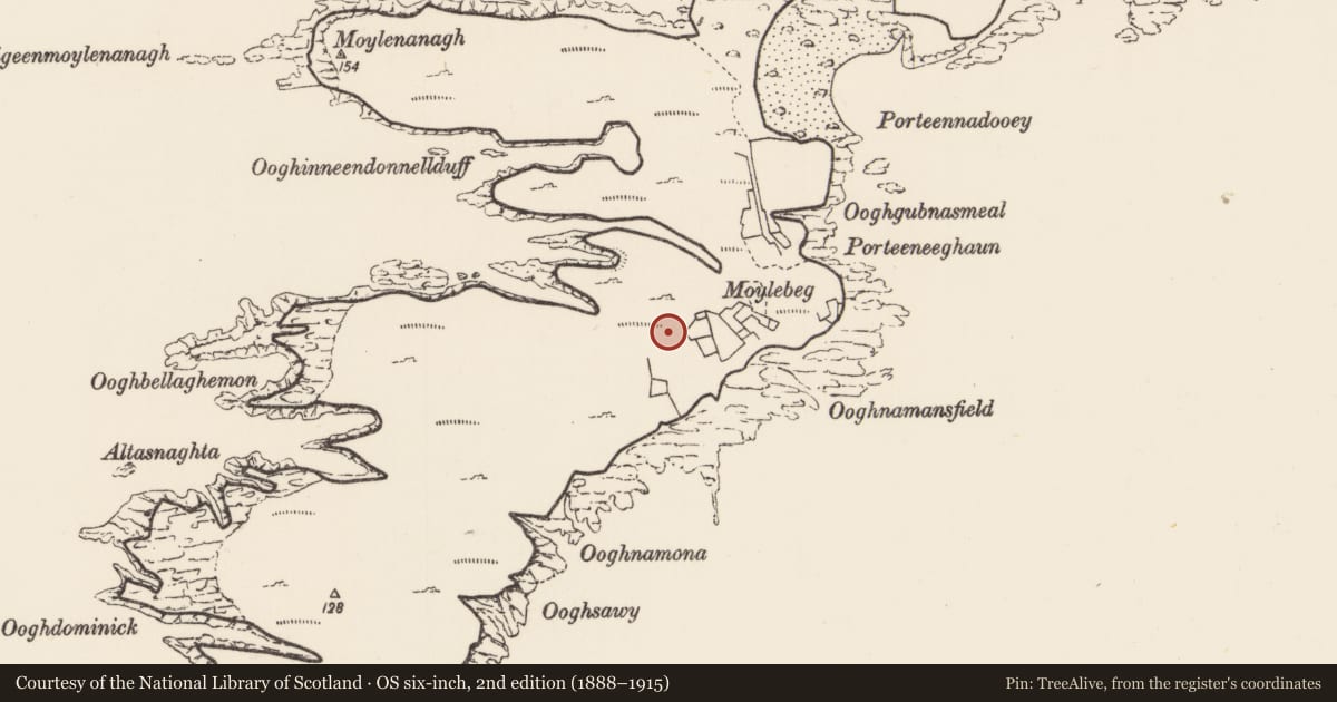 Ordnance Survey six-inch map, 2nd edition (1888–1915) covering the location of Midden, Inis Gé Theas, County Mayo, with a pin at the register's coordinates