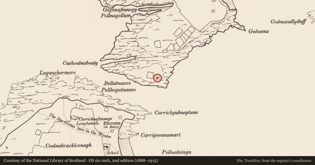 Ordnance Survey six-inch map, 2nd edition (1888–1915) covering the location of Midden, Inis Gé Thuaidh, County Mayo, with a pin at the register's coordinates