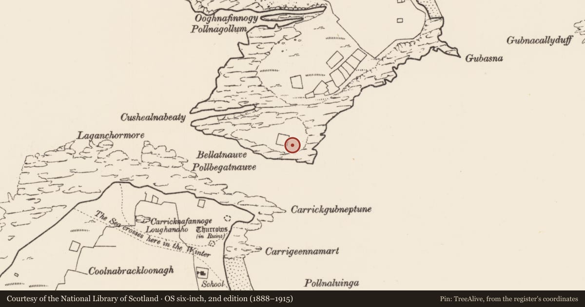 Ordnance Survey six-inch map, 2nd edition (1888–1915) covering the location of House - indeterminate date, Inis Gé Thuaidh, County Mayo, with a pin at the register's coordinates