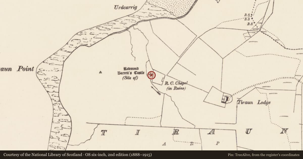 Ordnance Survey six-inch map, 2nd edition (1888–1915) covering the location of Castle - unclassified, Torán, County Mayo, with a pin at the register's coordinates