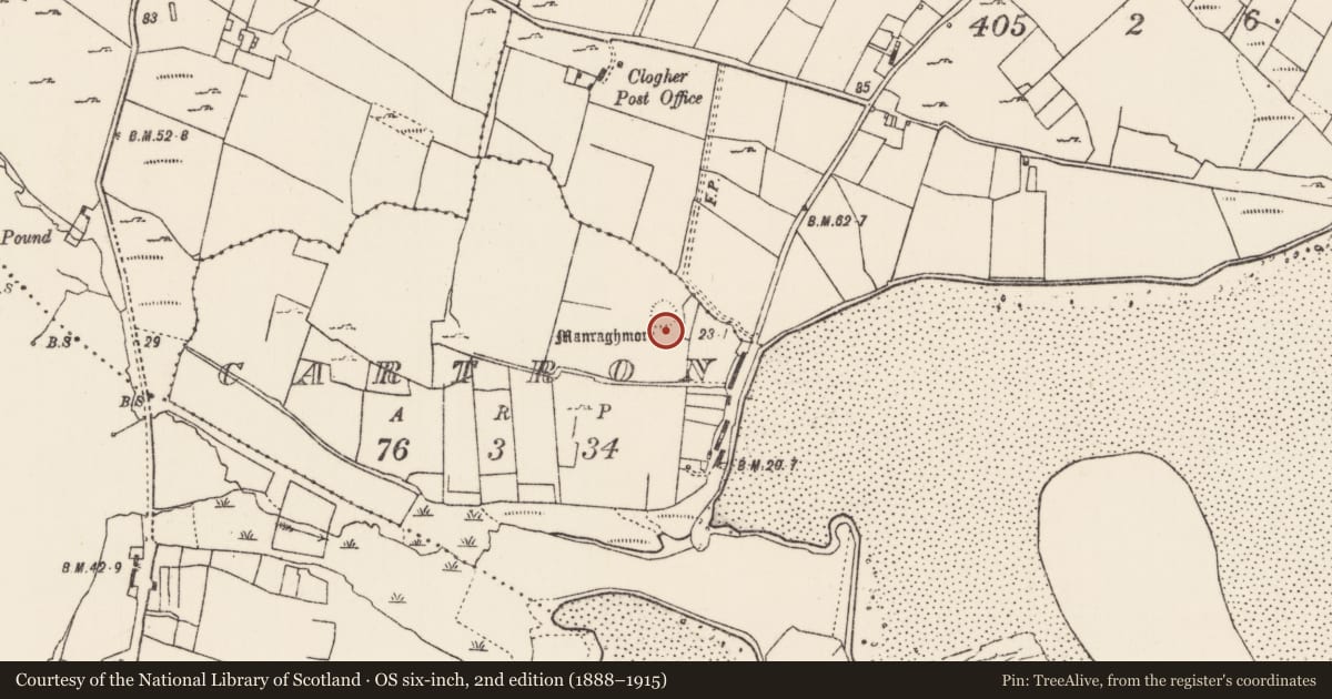 Ordnance Survey six-inch map, 2nd edition (1888–1915) covering the location of Ringfort - rath, Cartron, County Mayo, with a pin at the register's coordinates