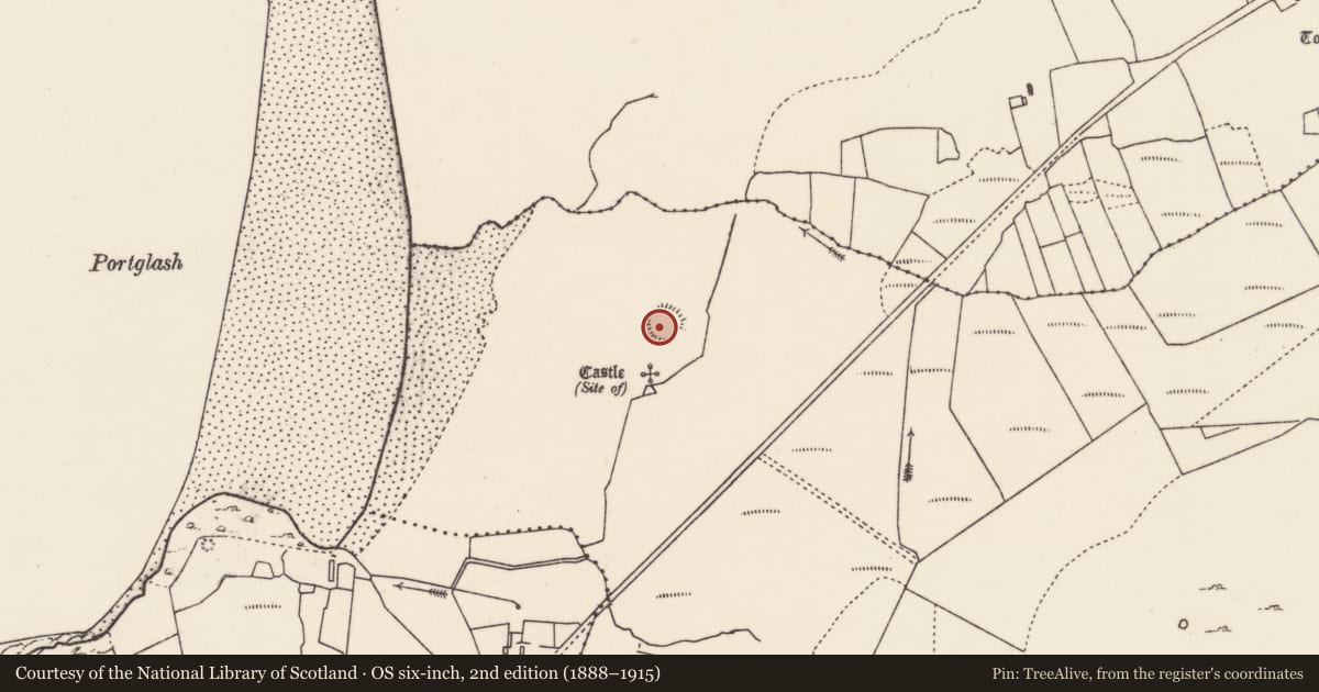 Ordnance Survey six-inch map, 2nd edition (1888–1915) covering the location of Enclosure, An Tearmann, County Mayo, with a pin at the register's coordinates