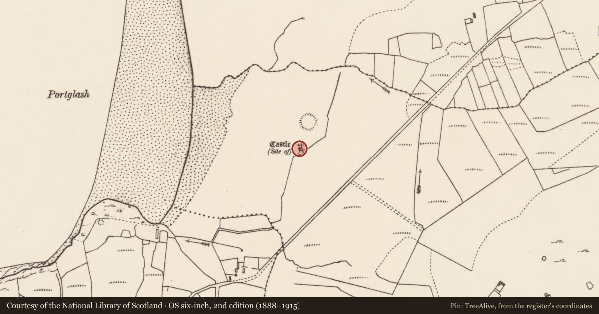 Ordnance Survey six-inch map, 2nd edition (1888–1915) covering the location of Castle - unclassified, An Tearmann, County Mayo, with a pin at the register's coordinates