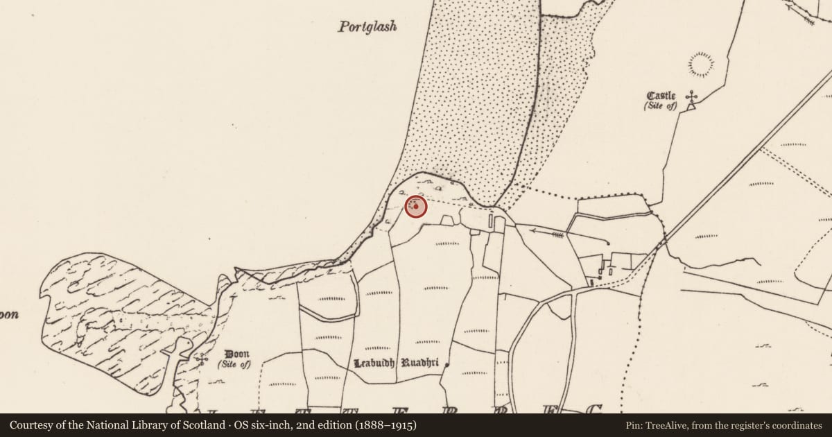 Ordnance Survey six-inch map, 2nd edition (1888–1915) covering the location of Stone circle, Leitir Beag, County Mayo, with a pin at the register's coordinates