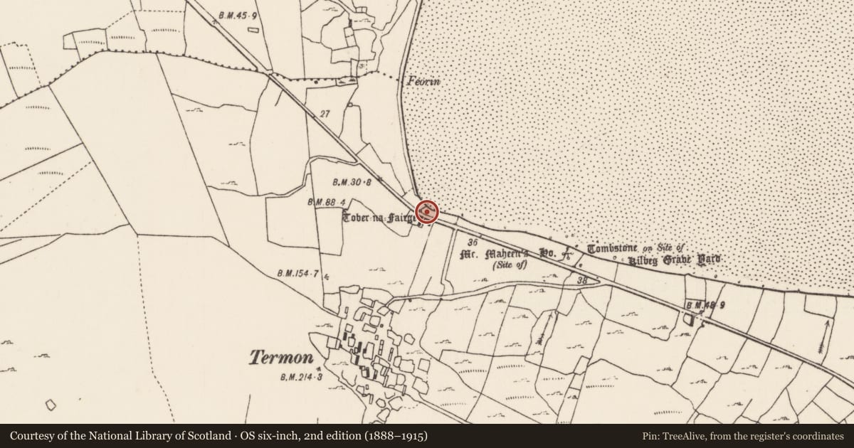 Ordnance Survey six-inch map, 2nd edition (1888–1915) covering the location of Well, An Tearmann, County Mayo, with a pin at the register's coordinates