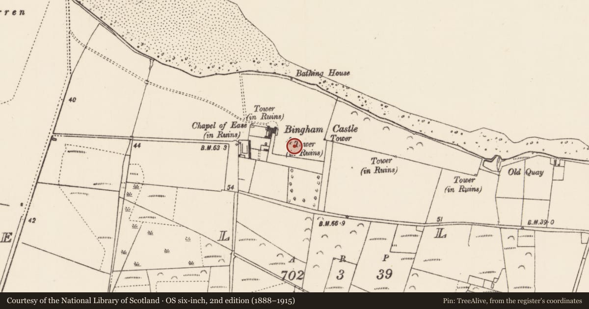 Ordnance Survey six-inch map, 2nd edition (1888–1915) covering the location of Standing stone, Oiligh, County Mayo, with a pin at the register's coordinates