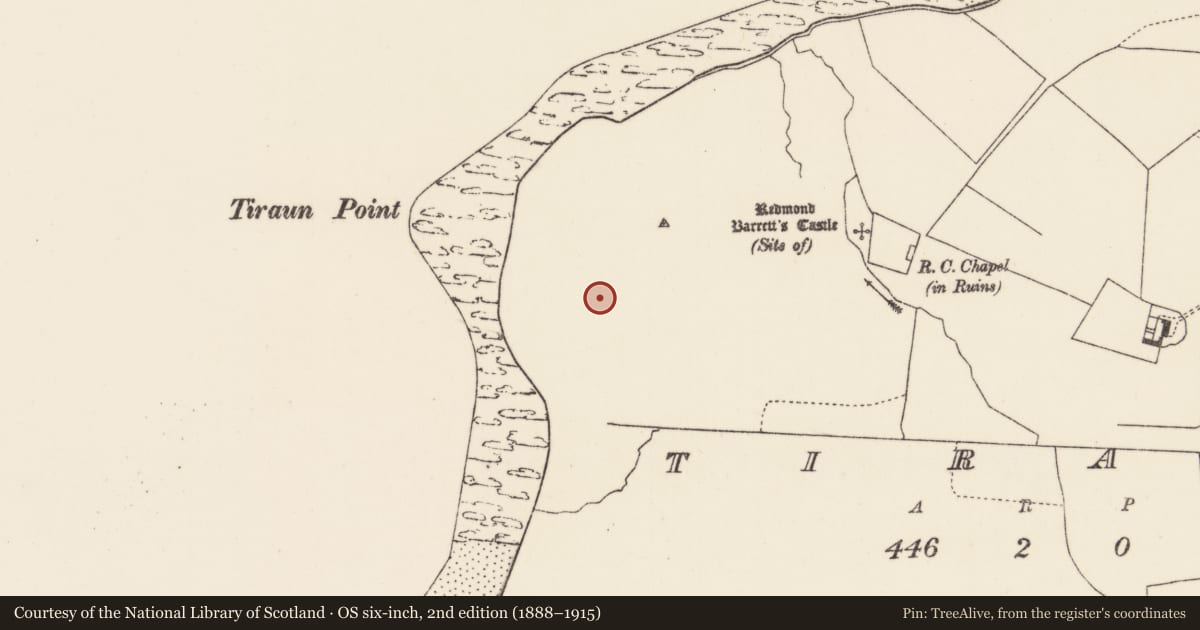 Ordnance Survey six-inch map, 2nd edition (1888–1915) covering the location of Standing stone, Torán, County Mayo, with a pin at the register's coordinates