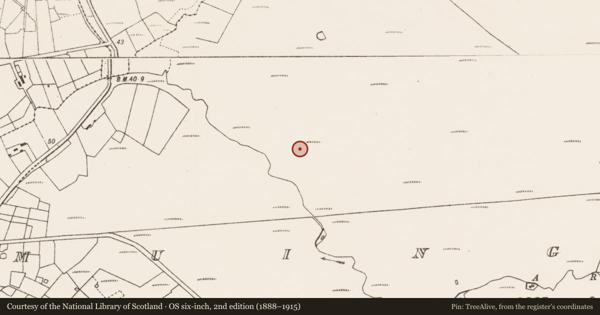 Ordnance Survey six-inch map, 2nd edition (1888–1915) covering the location of Enclosure, An Mhoing Mhór, County Mayo, with a pin at the register's coordinates
