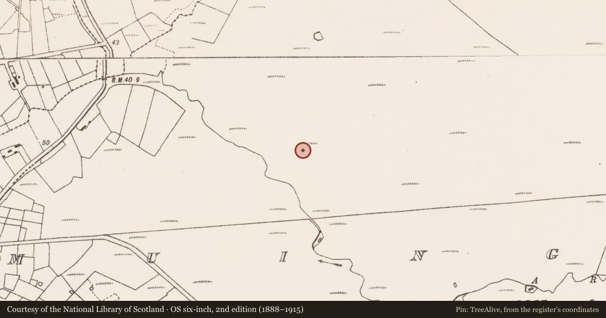 Ordnance Survey six-inch map, 2nd edition (1888–1915) covering the location of House - 18th/19th century, An Mhoing Mhór, County Mayo, with a pin at the register's coordinates