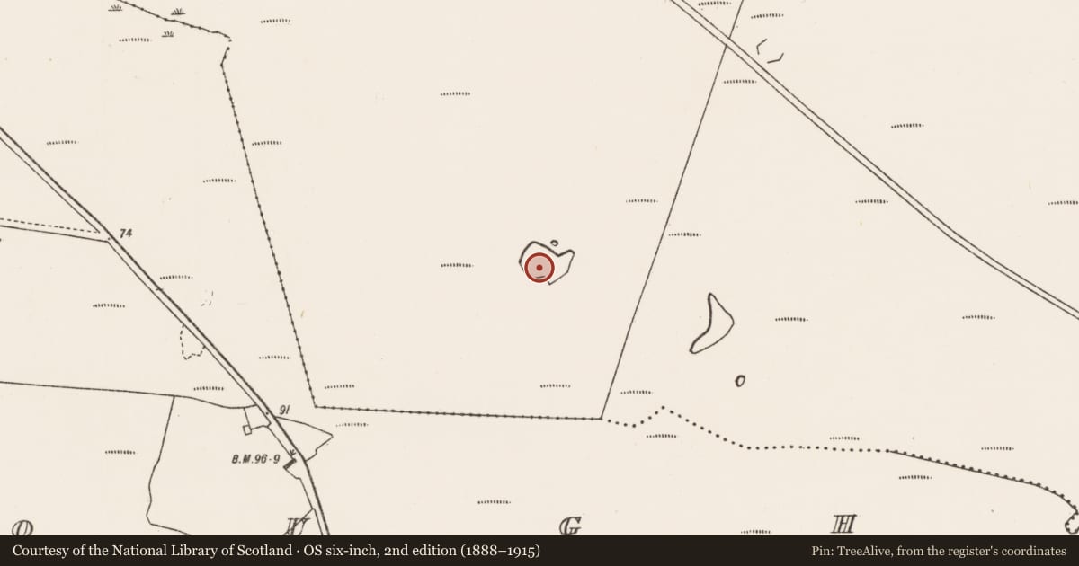 Ordnance Survey six-inch map, 2nd edition (1888–1915) covering the location of Crannog, An Mhoing Mhór, County Mayo, with a pin at the register's coordinates
