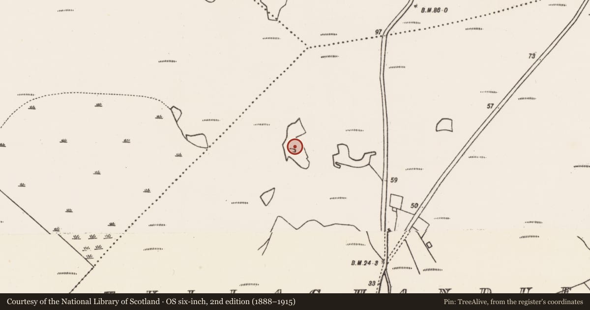 Ordnance Survey six-inch map, 2nd edition (1888–1915) covering the location of Crannog, Tulachán Dubh, County Mayo, with a pin at the register's coordinates