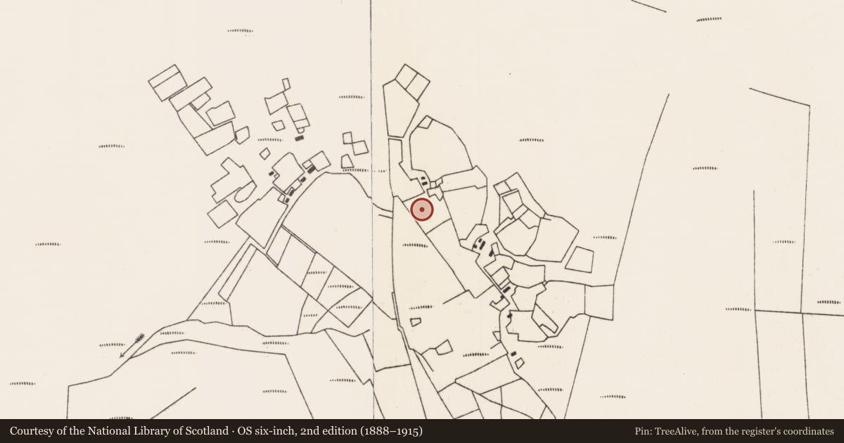 Ordnance Survey six-inch map, 2nd edition (1888–1915) covering the location of Children's burial ground, Troiste, County Mayo, with a pin at the register's coordinates