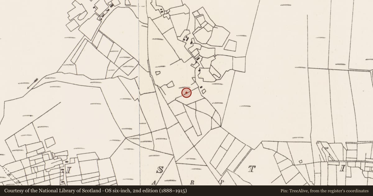 Ordnance Survey six-inch map, 2nd edition (1888–1915) covering the location of Megalithic tomb - court tomb, Troiste, County Mayo, with a pin at the register's coordinates