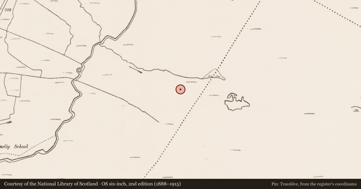 Ordnance Survey six-inch map, 2nd edition (1888–1915) covering the location of Cist, Tawnaghmore, County Mayo, with a pin at the register's coordinates