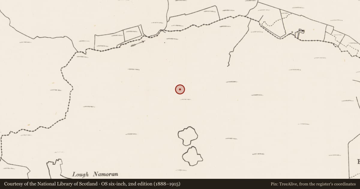 Ordnance Survey six-inch map, 2nd edition (1888–1915) covering the location of Standing stone, Dooleeg More, County Mayo, with a pin at the register's coordinates