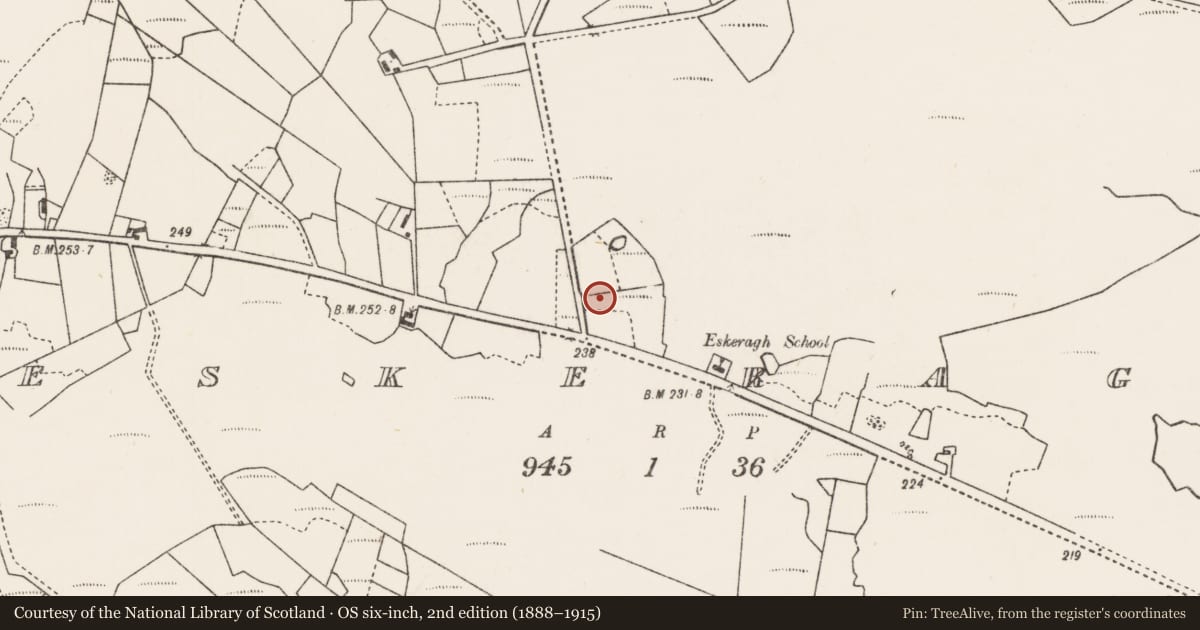 Ordnance Survey six-inch map, 2nd edition (1888–1915) covering the location of Megalithic tomb - court tomb, Eskeragh, County Mayo, with a pin at the register's coordinates