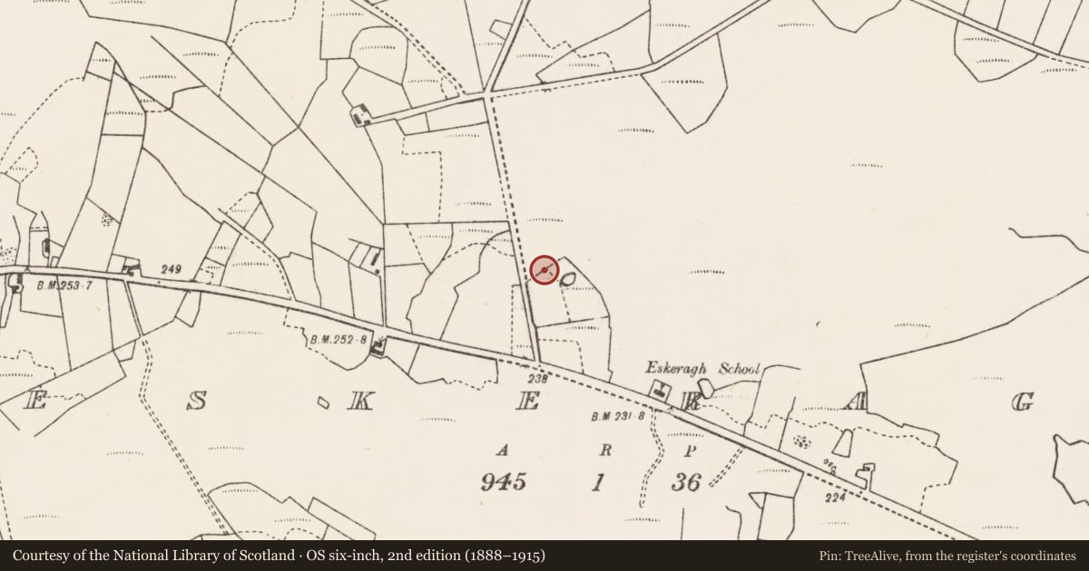 Ordnance Survey six-inch map, 2nd edition (1888–1915) covering the location of Stone row, Eskeragh, County Mayo, with a pin at the register's coordinates
