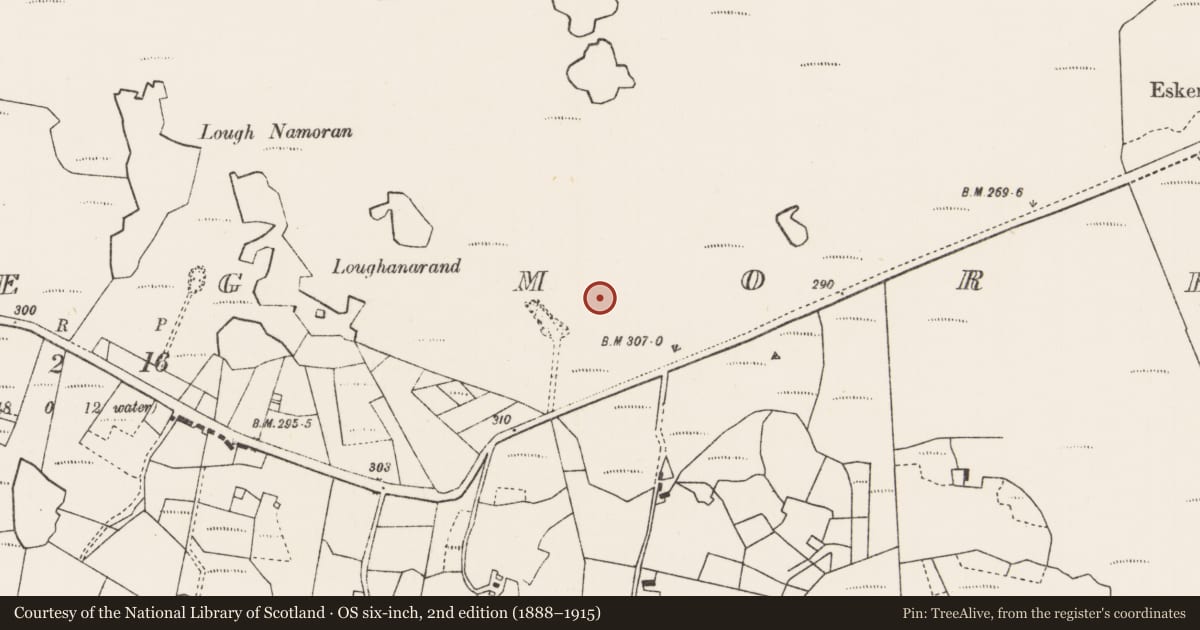 Ordnance Survey six-inch map, 2nd edition (1888–1915) covering the location of Standing stone, Dooleeg More, County Mayo, with a pin at the register's coordinates