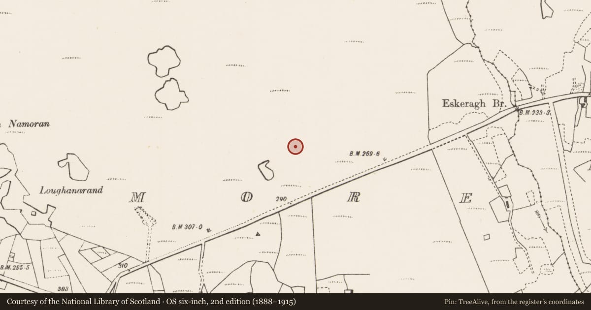 Ordnance Survey six-inch map, 2nd edition (1888–1915) covering the location of Stone row, Dooleeg More, County Mayo, with a pin at the register's coordinates