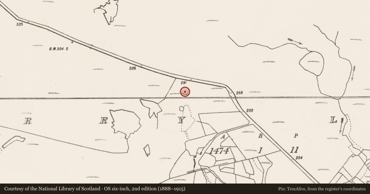 Ordnance Survey six-inch map, 2nd edition (1888–1915) covering the location of Ringfort - rath, Derry Lower, County Mayo, with a pin at the register's coordinates