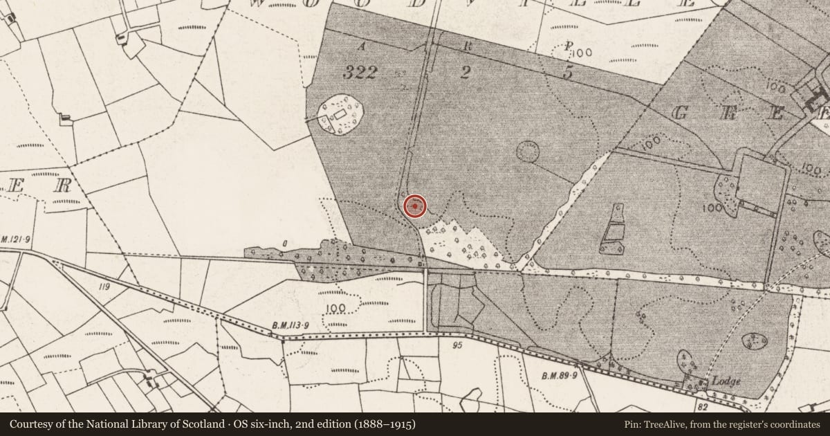 Ordnance Survey six-inch map, 2nd edition (1888–1915) covering the location of Enclosure, Woodville, County Mayo, with a pin at the register's coordinates