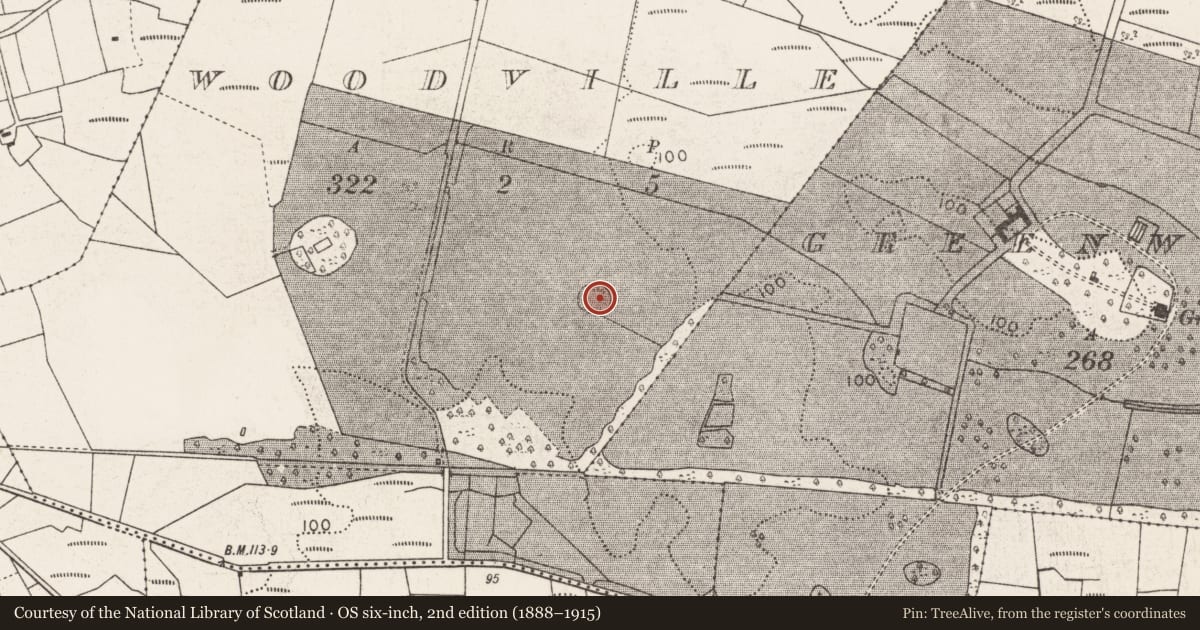 Ordnance Survey six-inch map, 2nd edition (1888–1915) covering the location of Ringfort - rath, Woodville, County Mayo, with a pin at the register's coordinates