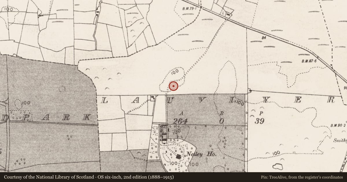 Ordnance Survey six-inch map, 2nd edition (1888–1915) covering the location of Ringfort - rath, Lauvlyer, County Mayo, with a pin at the register's coordinates