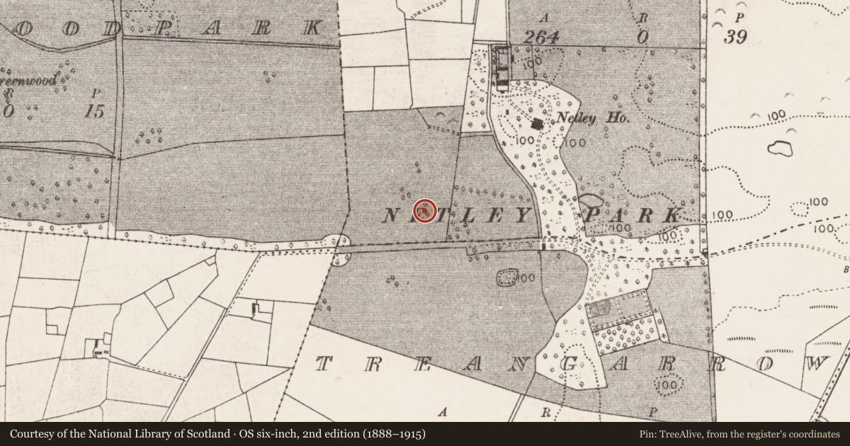 Ordnance Survey six-inch map, 2nd edition (1888–1915) covering the location of Designed landscape - tree-ring, Lauvlyer, County Mayo, with a pin at the register's coordinates