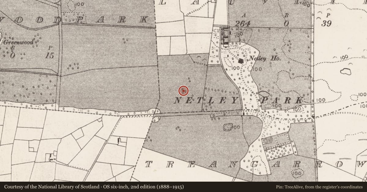Ordnance Survey six-inch map, 2nd edition (1888–1915) covering the location of Designed landscape - tree-ring, Lauvlyer, County Mayo, with a pin at the register's coordinates