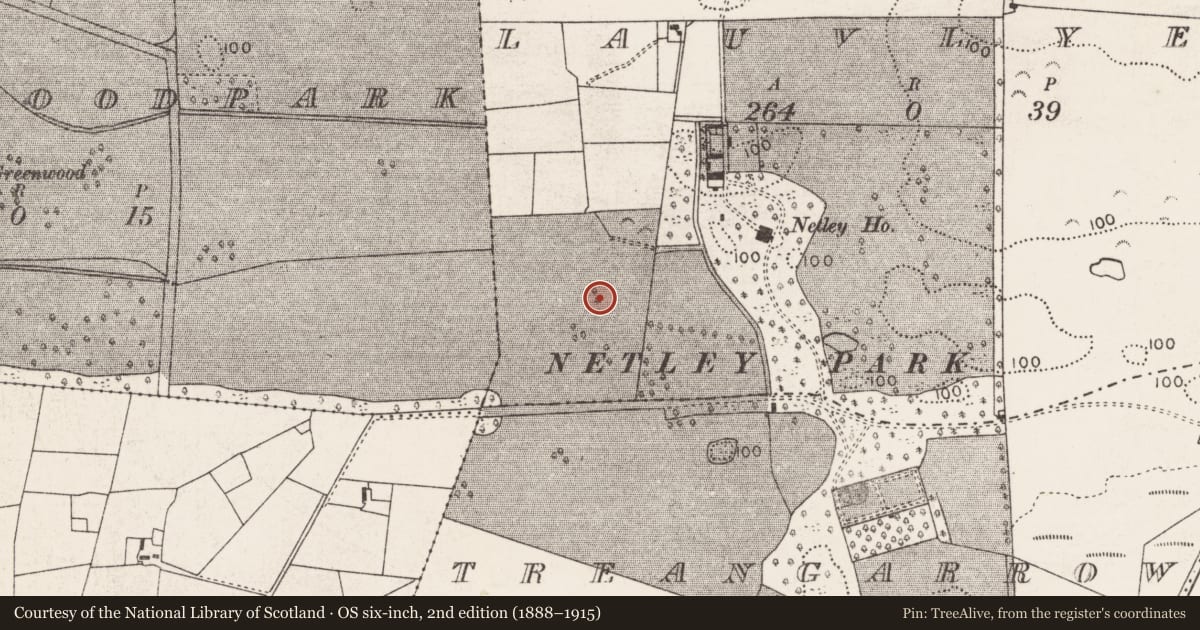Ordnance Survey six-inch map, 2nd edition (1888–1915) covering the location of Designed landscape - tree-ring, Lauvlyer, County Mayo, with a pin at the register's coordinates